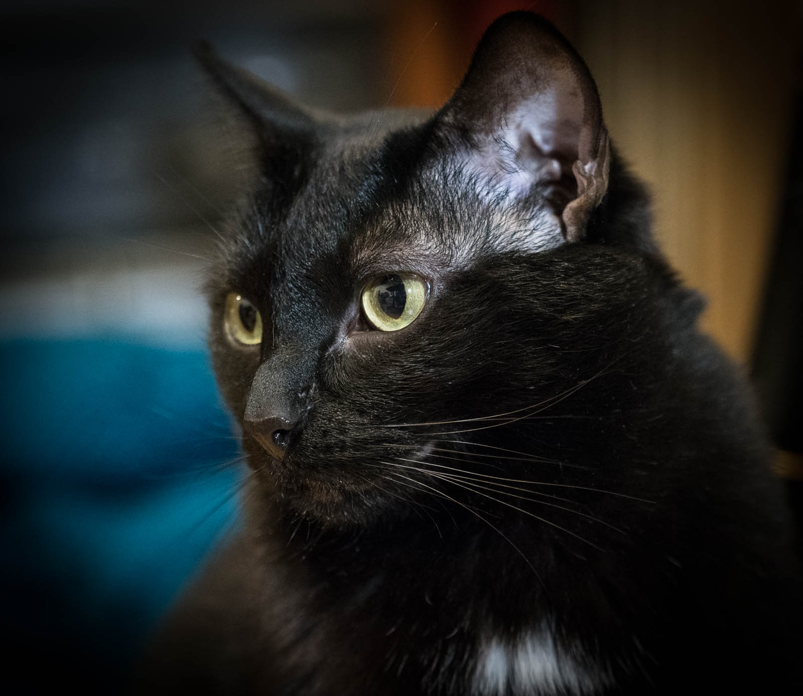 ddb 20171130 010-030