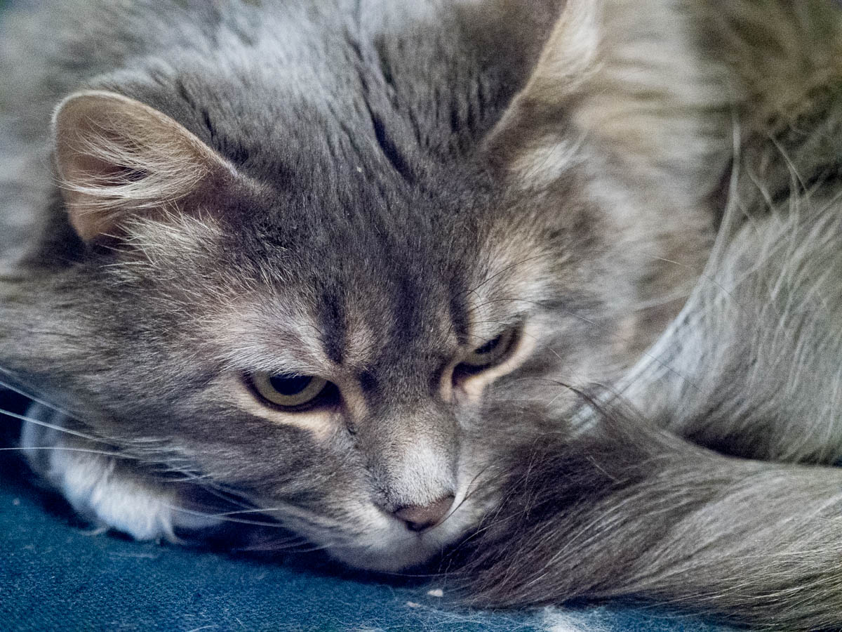 ddb 20171209 010-006