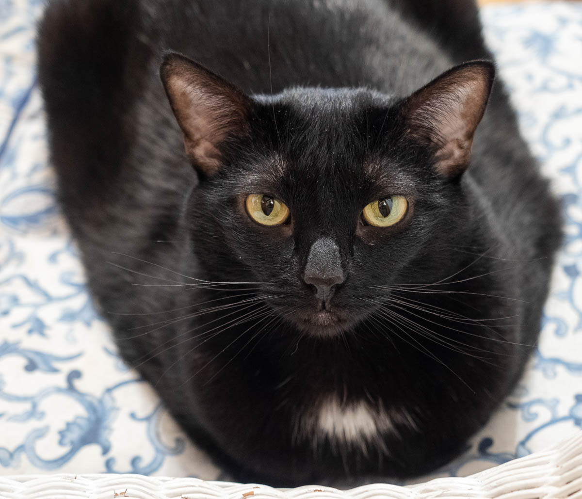 ddb  20181028 010-009