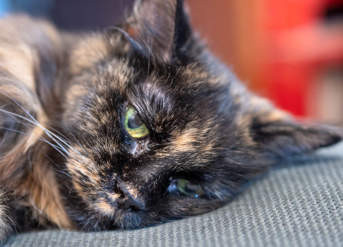 ddb  20181028 010-015