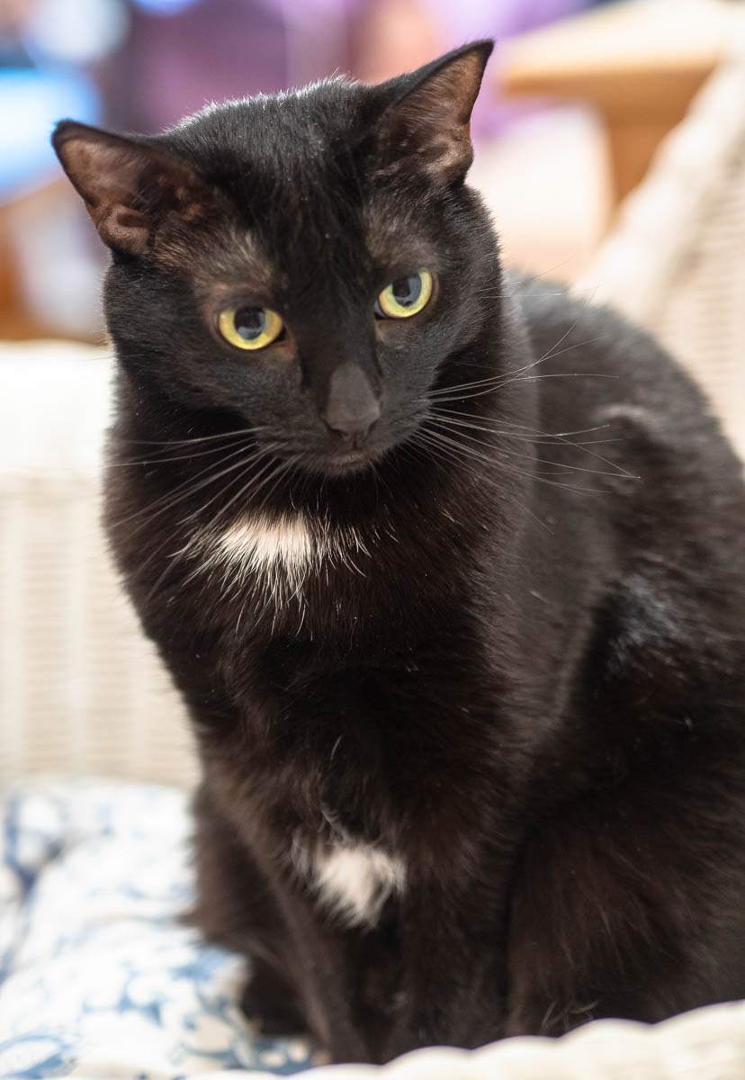 ddb  20181028 010-019