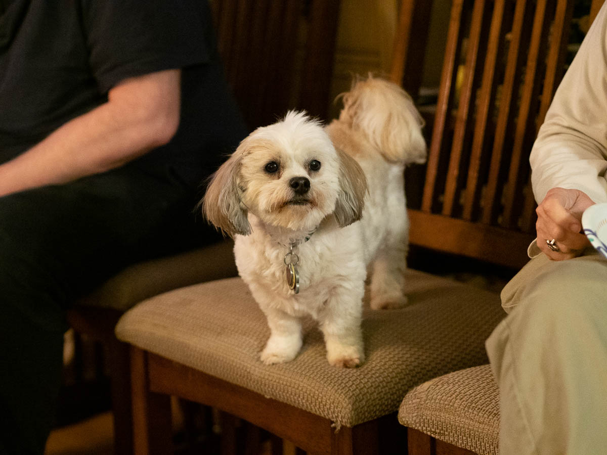 ddb  20190422 010-009