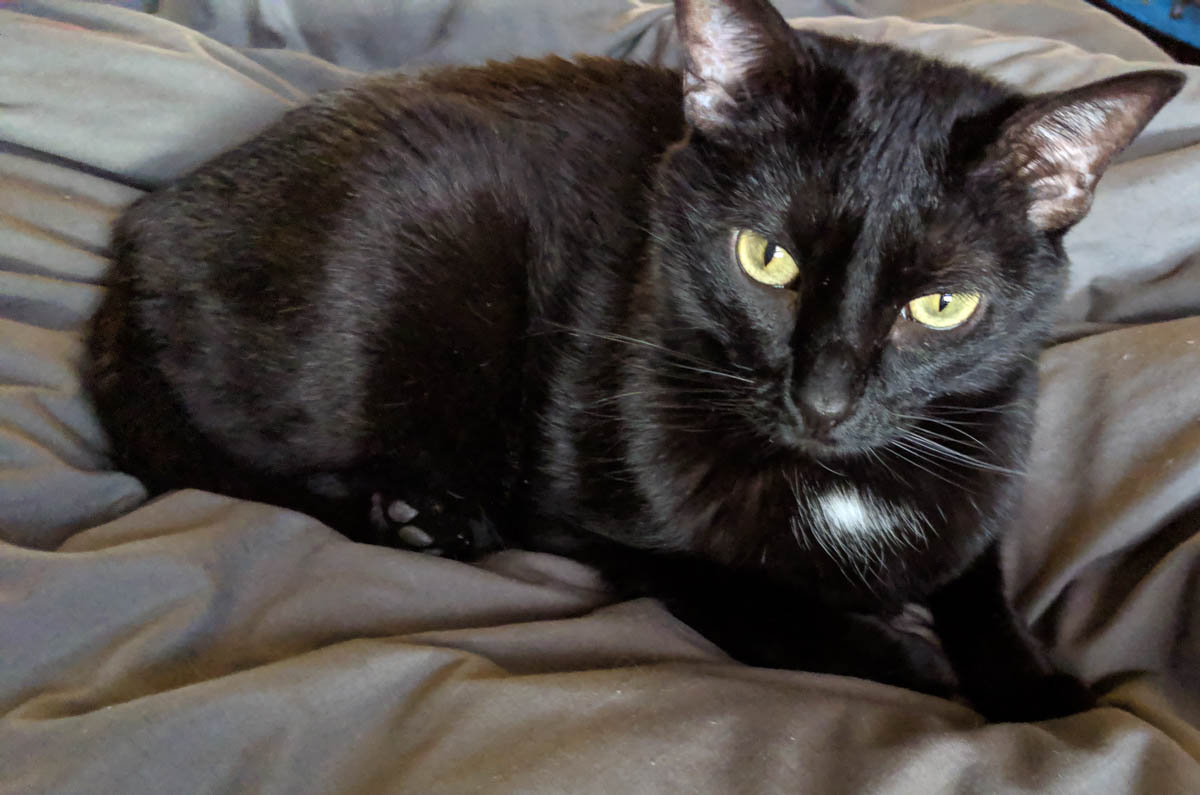 ddb  20190502 612-001