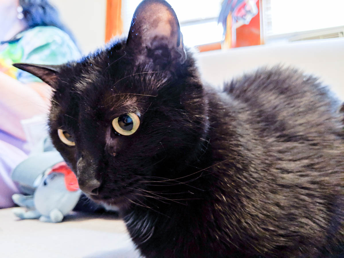 ddb  20190505 612-004