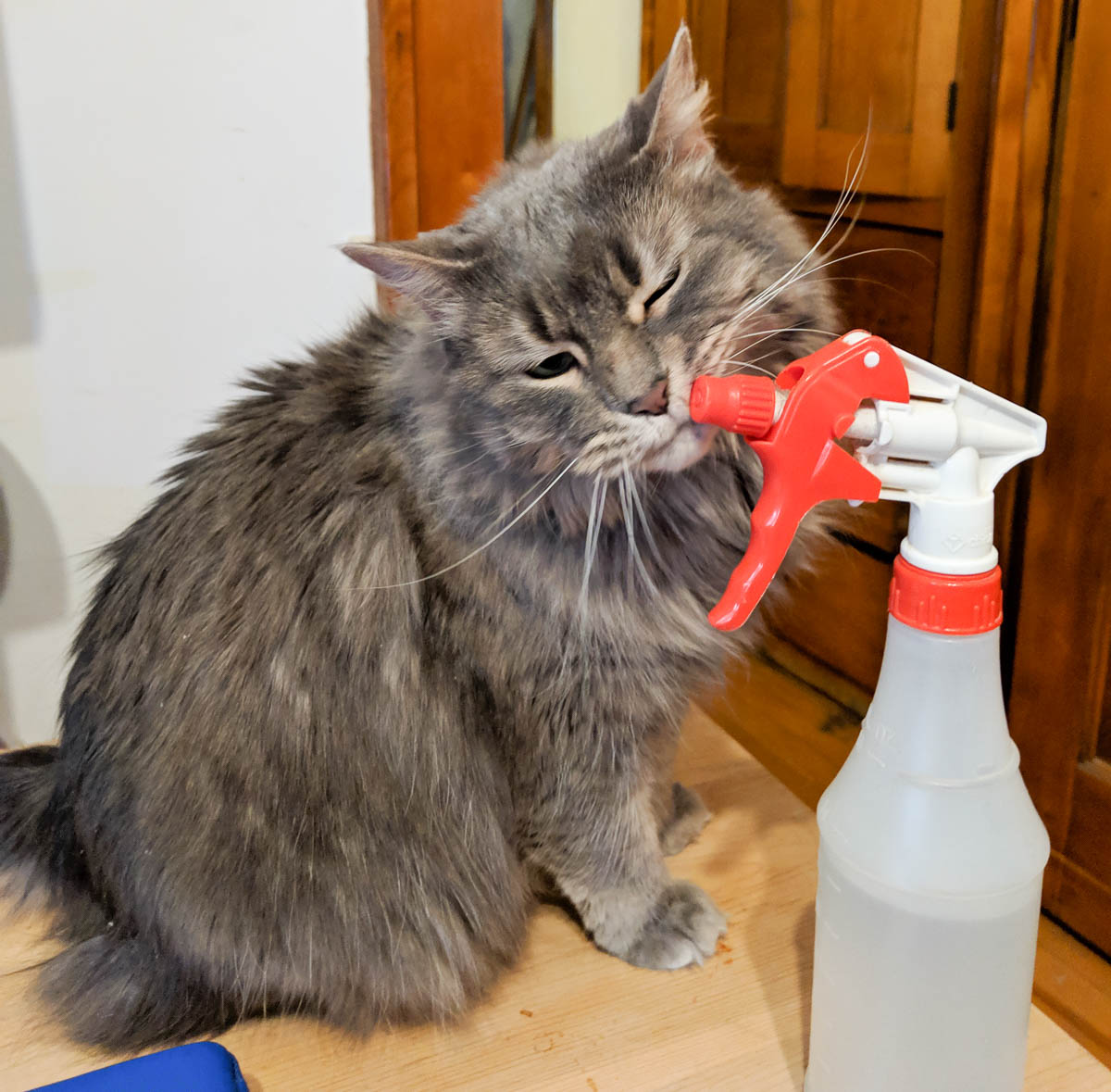 ddb  20190505 612-006