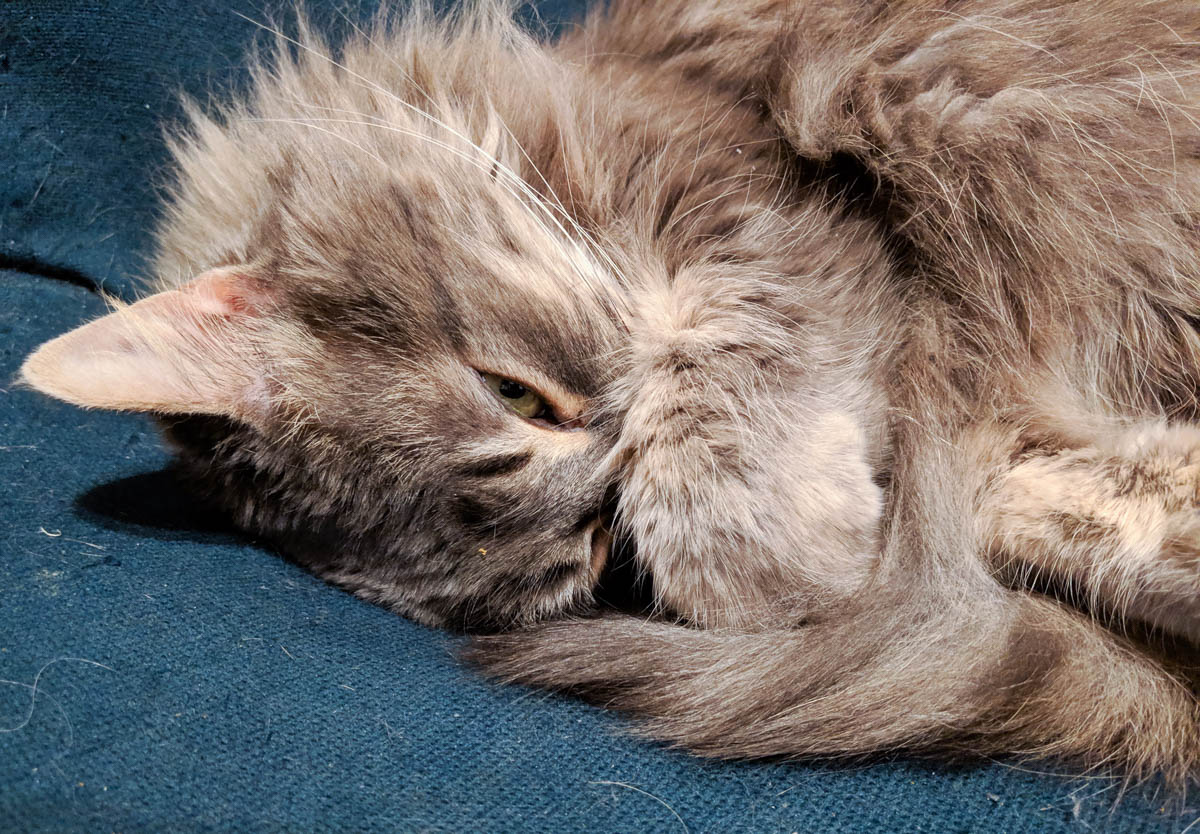 ddb  20190508 612-006