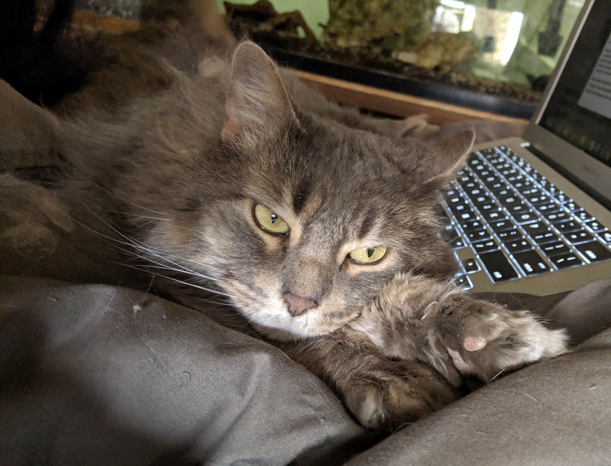 ddb  20190516 612-001