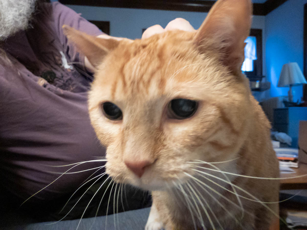 ddb  20190524 612-002