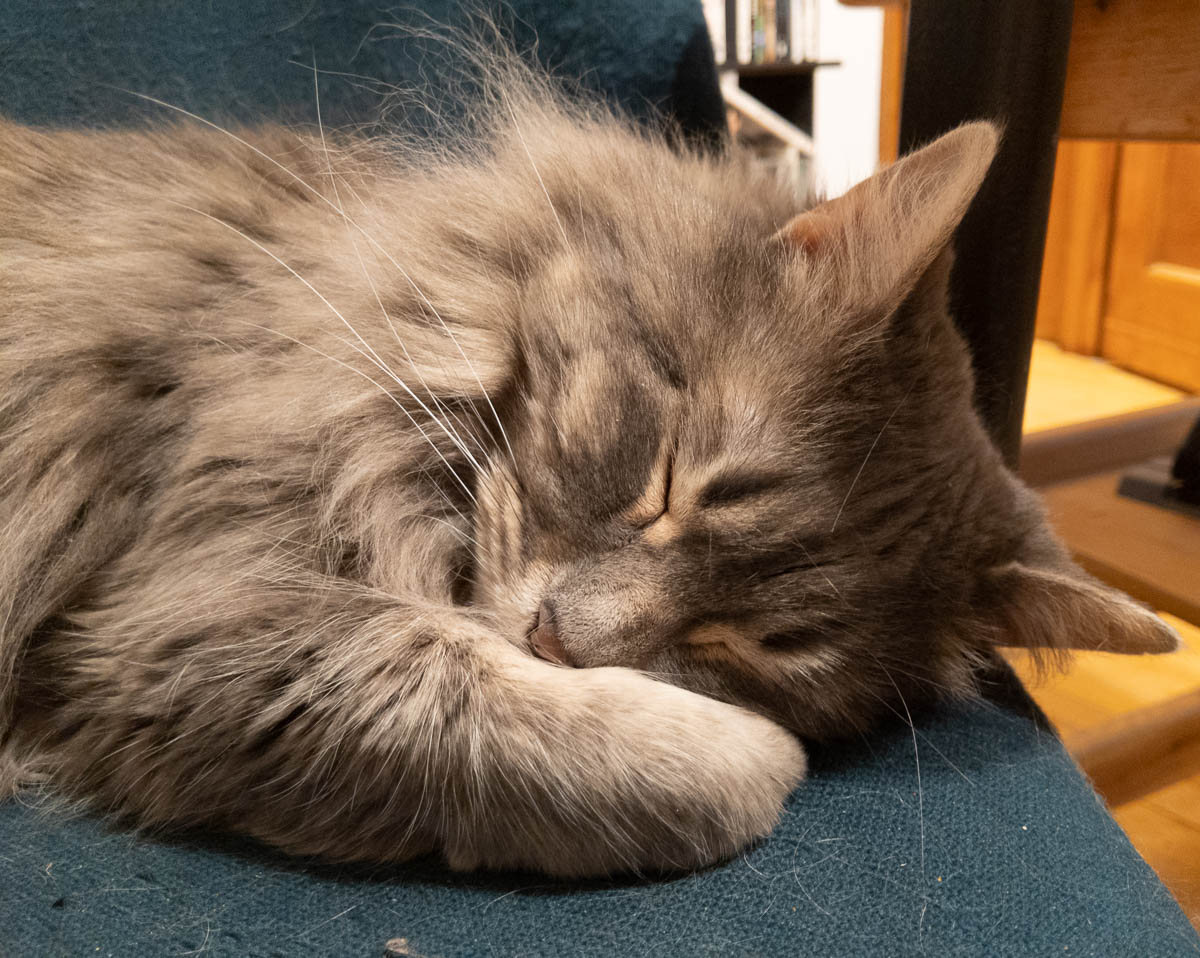 ddb  20190524 612-005