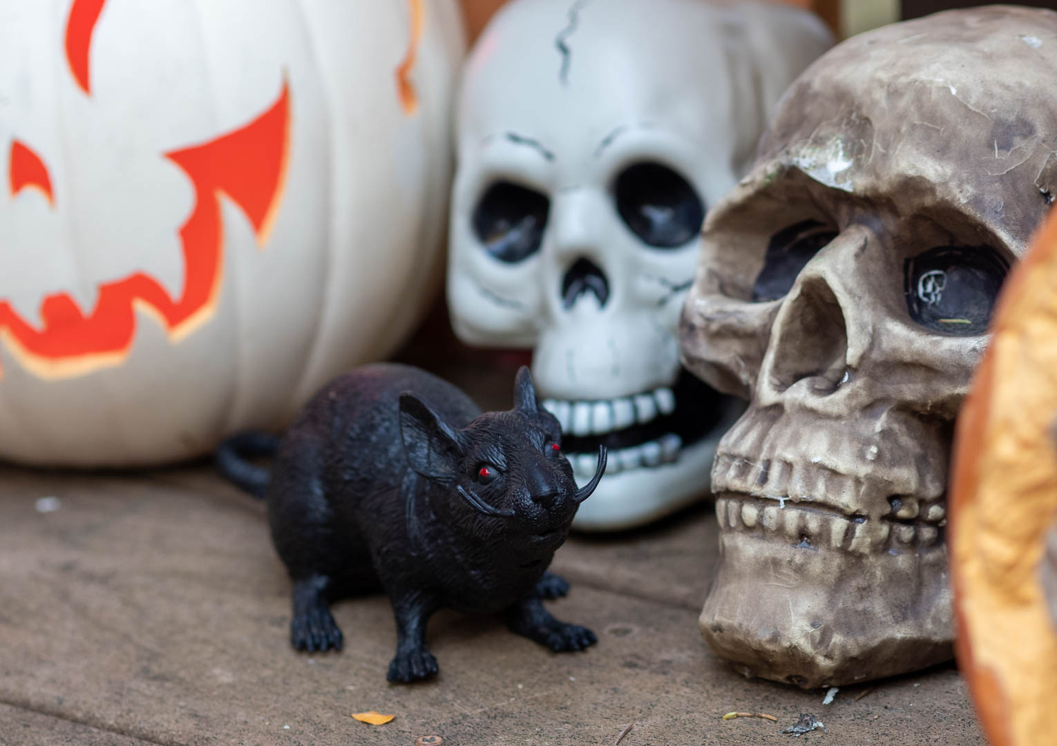 ddb_20191026_010-012