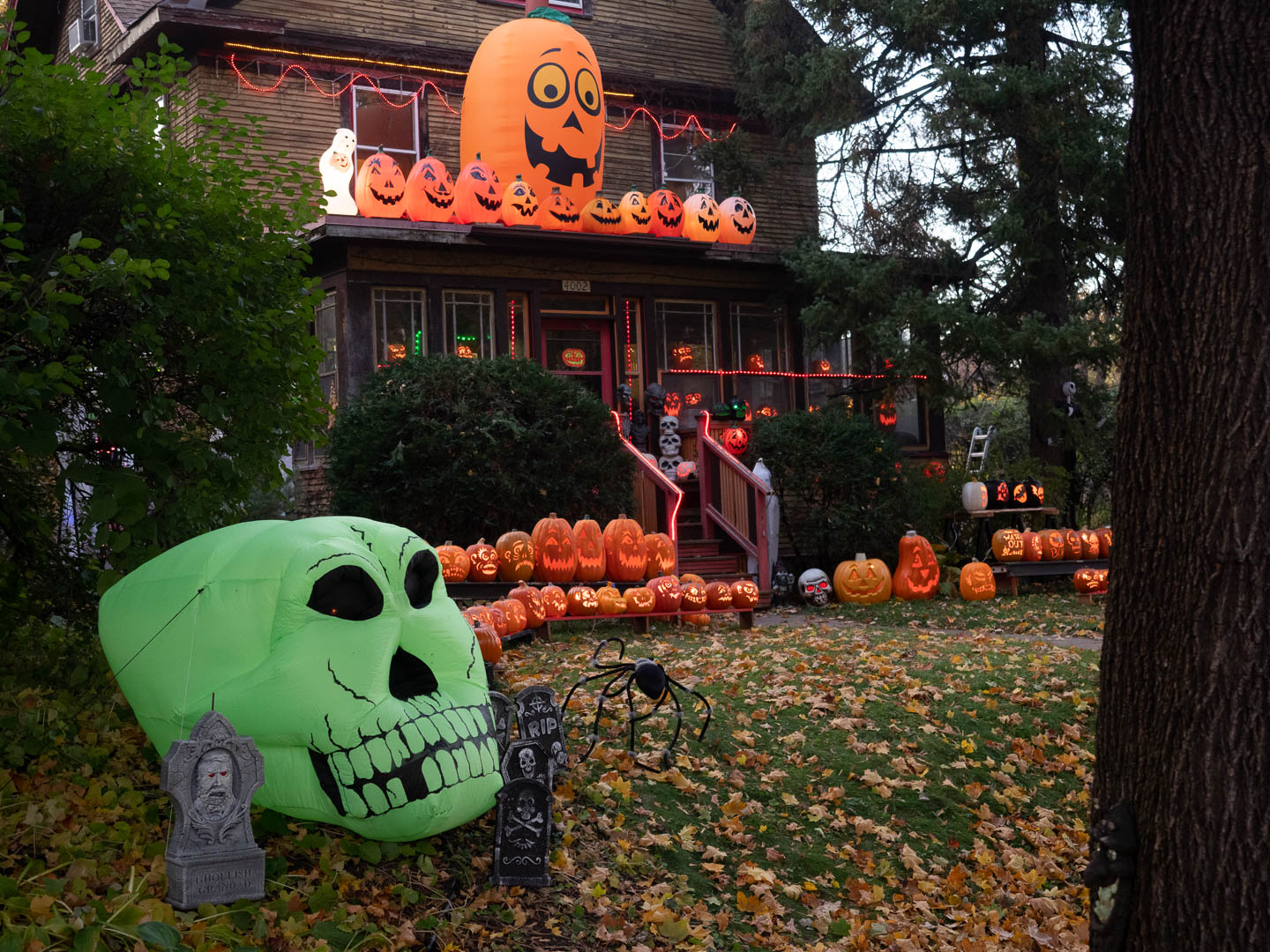 ddb_20191026_010-048