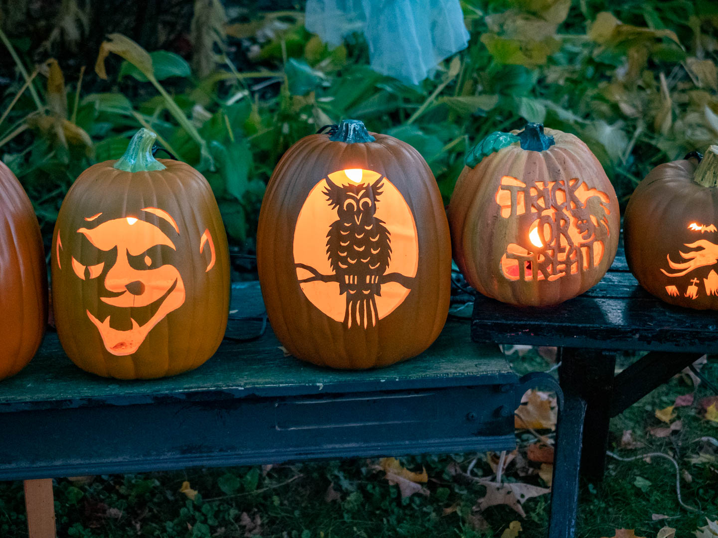 ddb_20191026_010-057