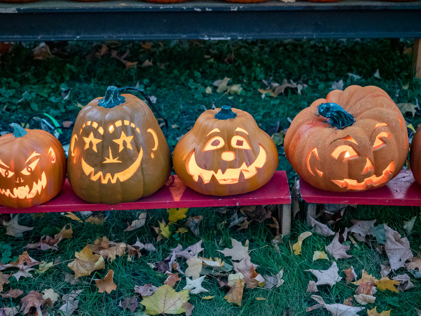 ddb_20191026_010-065