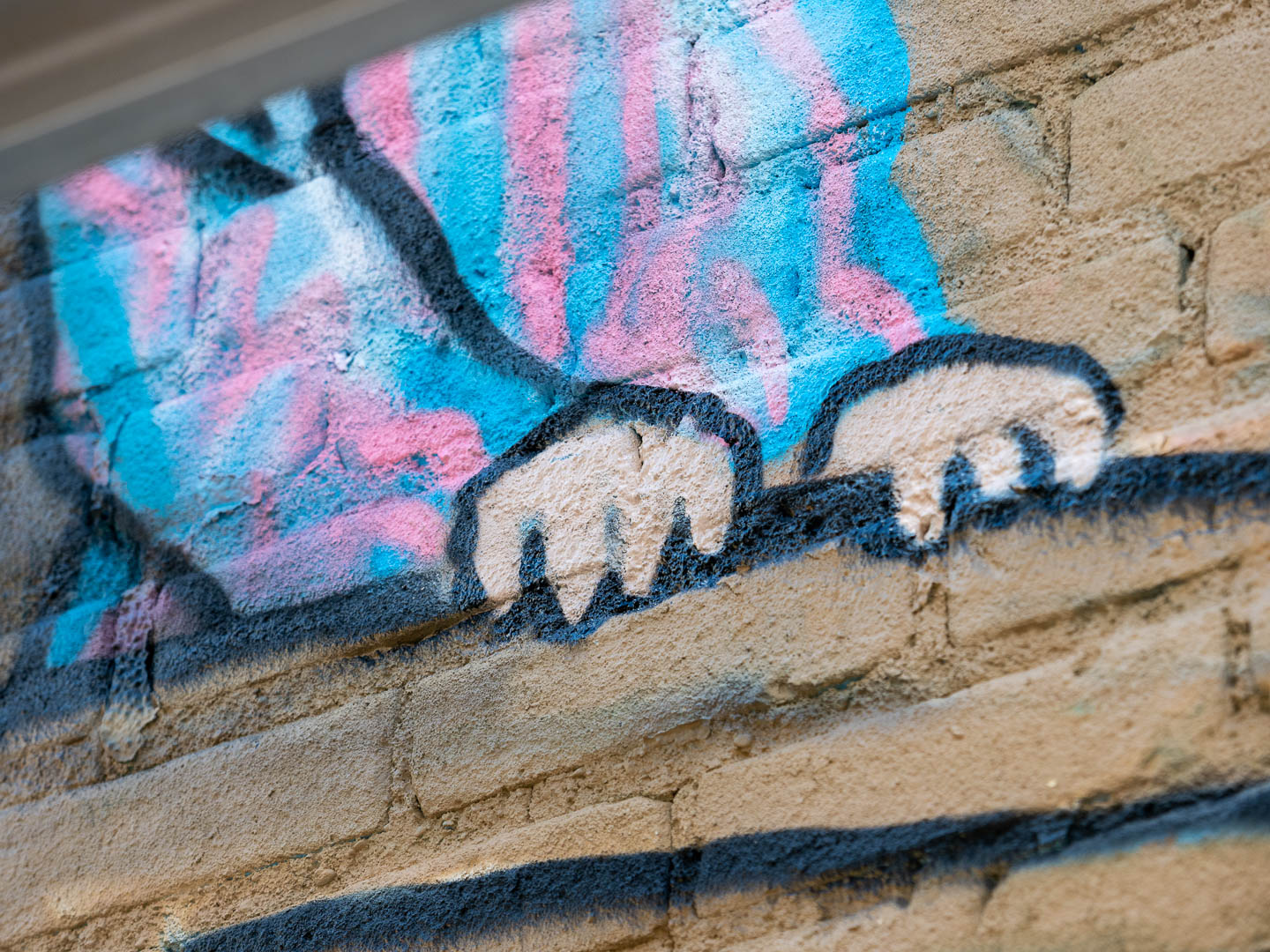 ddb_20220727_010-172