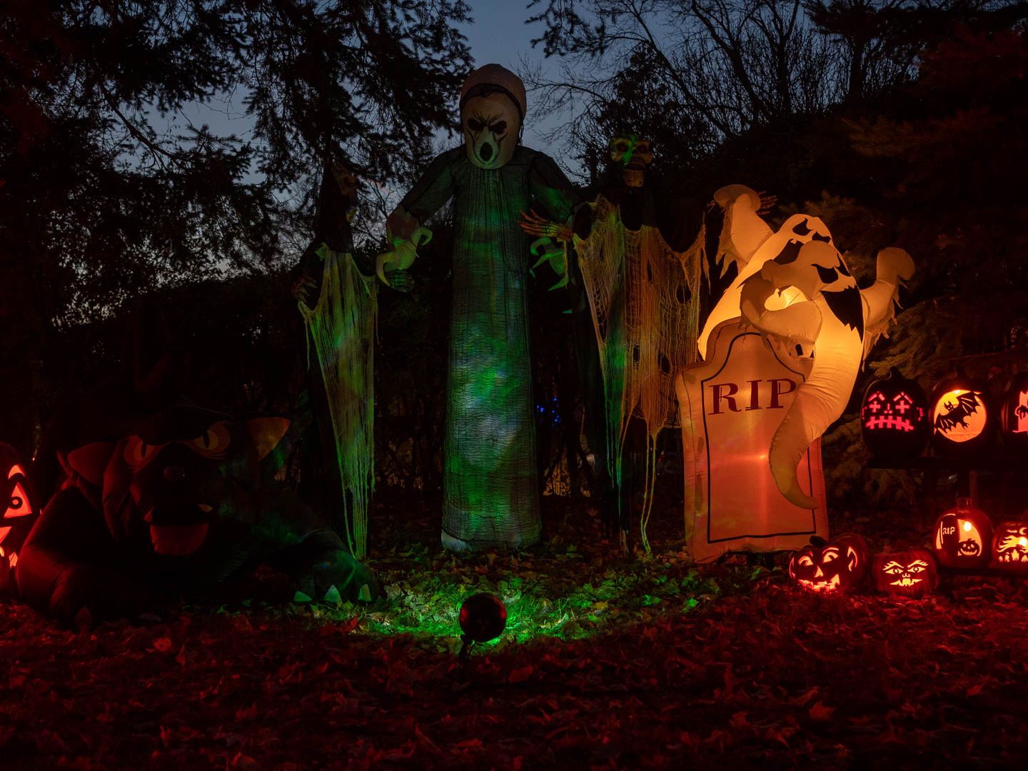 ddb_20221029_010-058