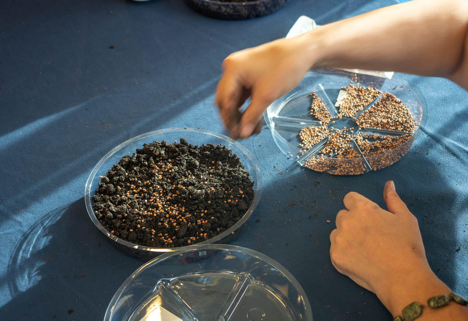 ddb_20231008_010_073