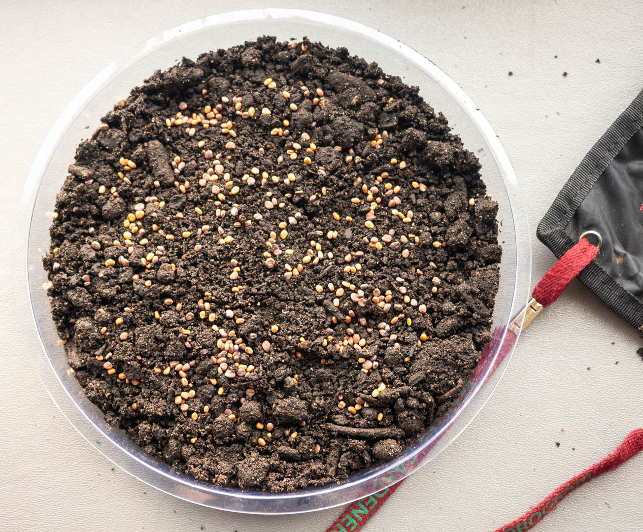 ddb_20231008_010_087