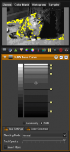 Raw Tone Curve