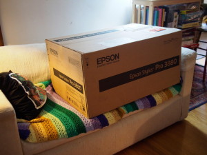 Epson 3880 printer waiting 