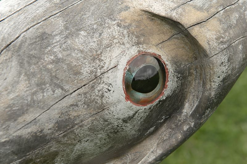 ddb 20110428 010-061