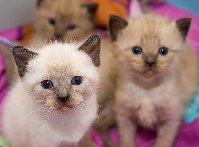 ddb 20090223 010-007