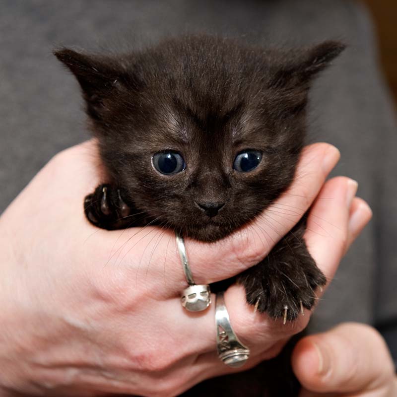 ddb 20090223 010-008