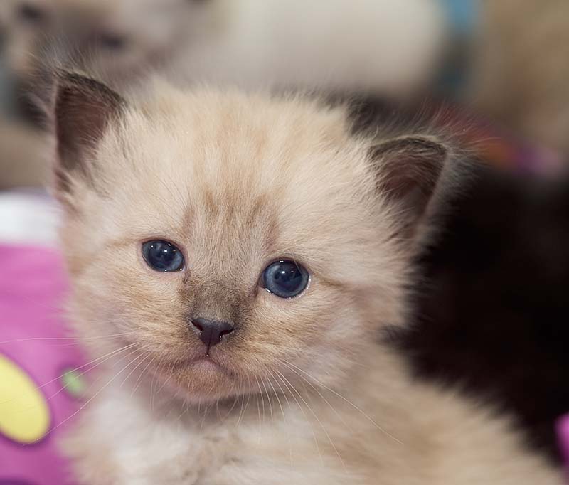 ddb 20090223 010-014