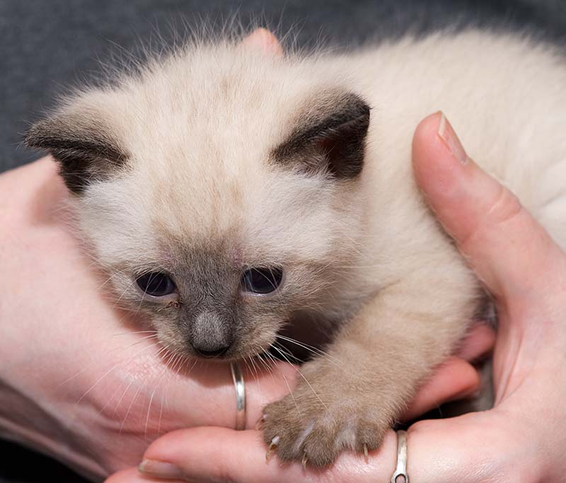 ddb 20090223 010-059