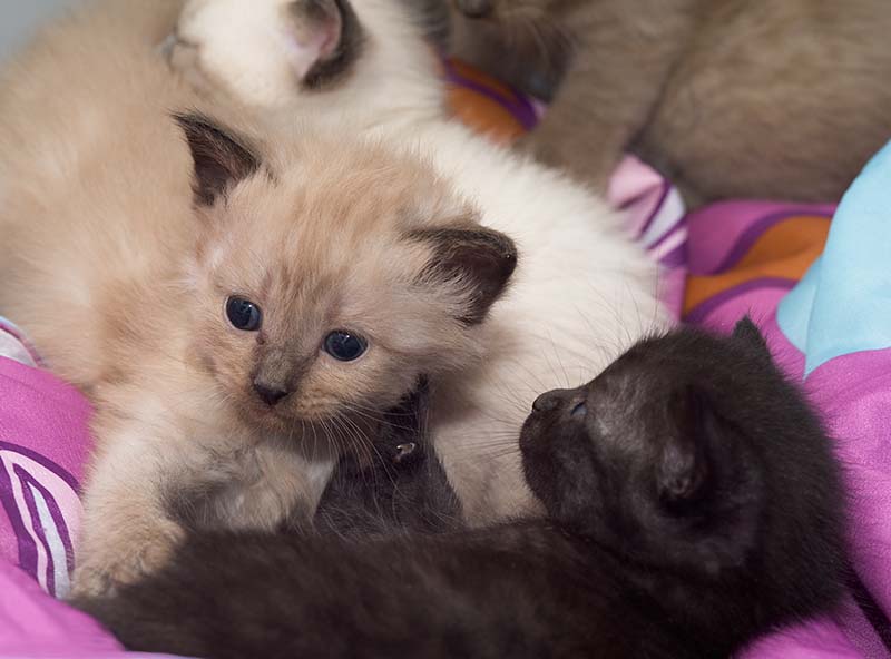 ddb 20090223 010-107