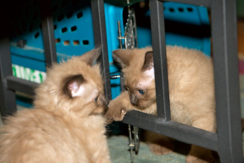 ddb 20090329 010-038