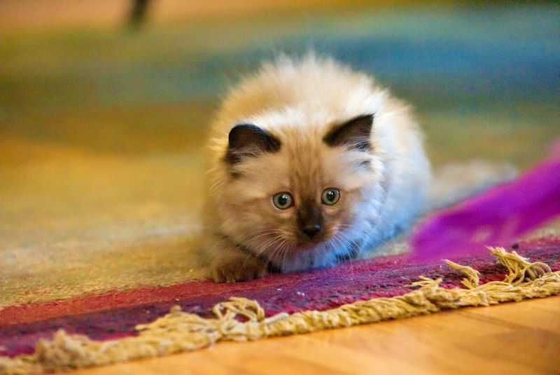 ddb 20090329 010-045