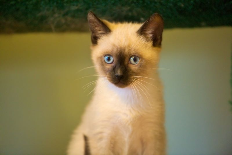 ddb 20090329 010-051