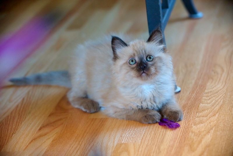 ddb 20090329 010-084