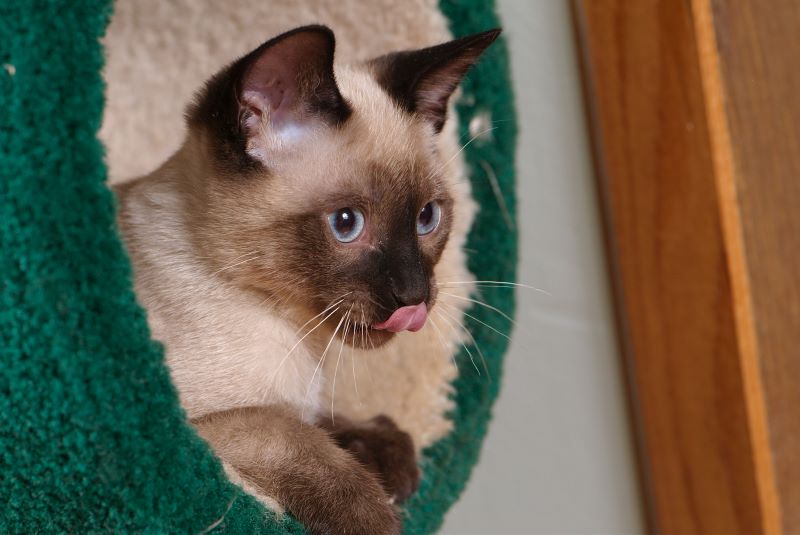 ddb 20090517 010-086