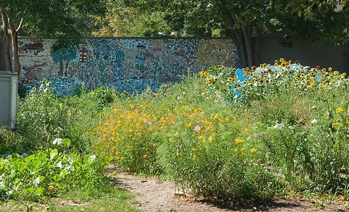 ddb 20070916 010-022