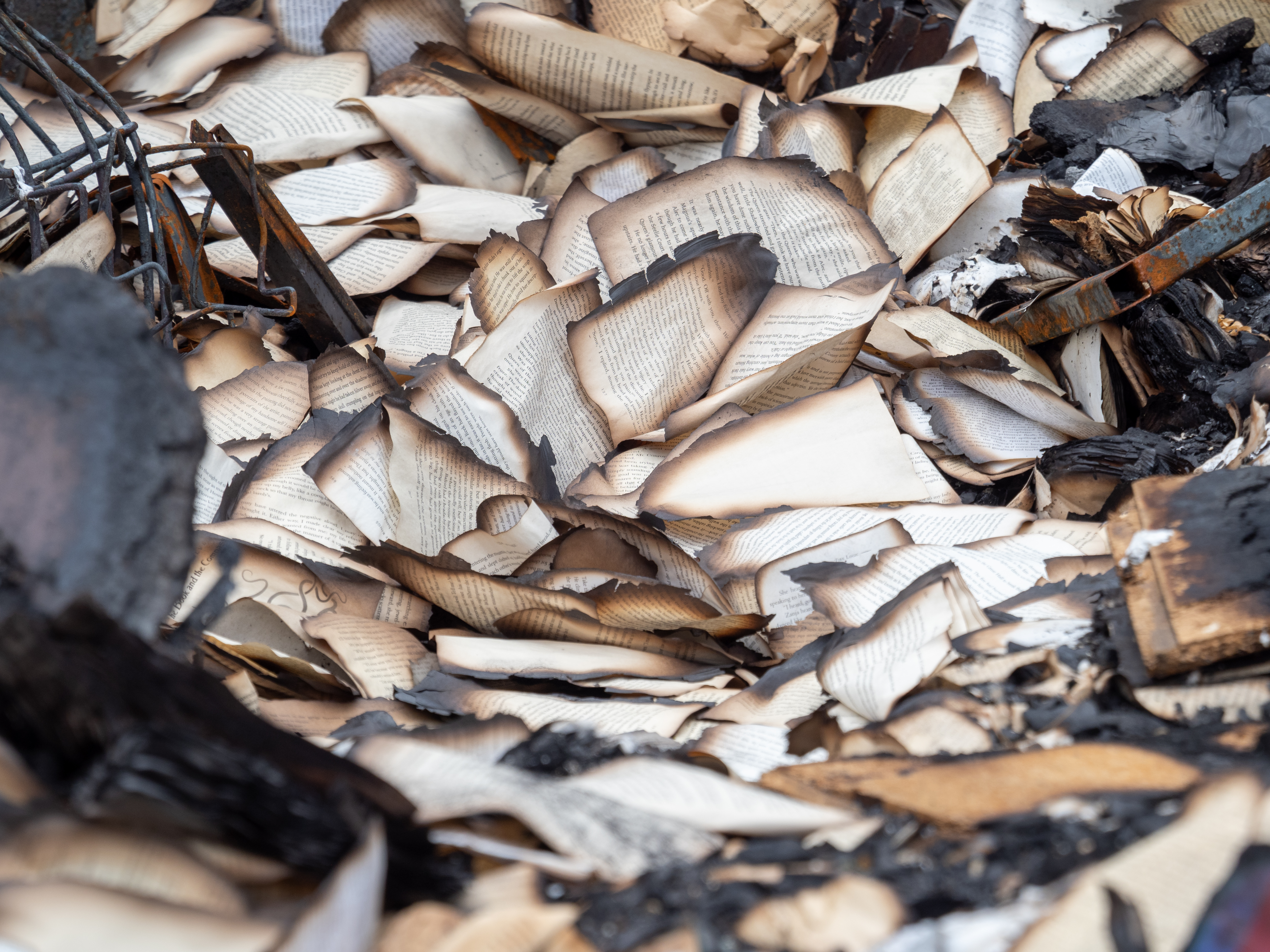 ddb  20200609 010-169-print