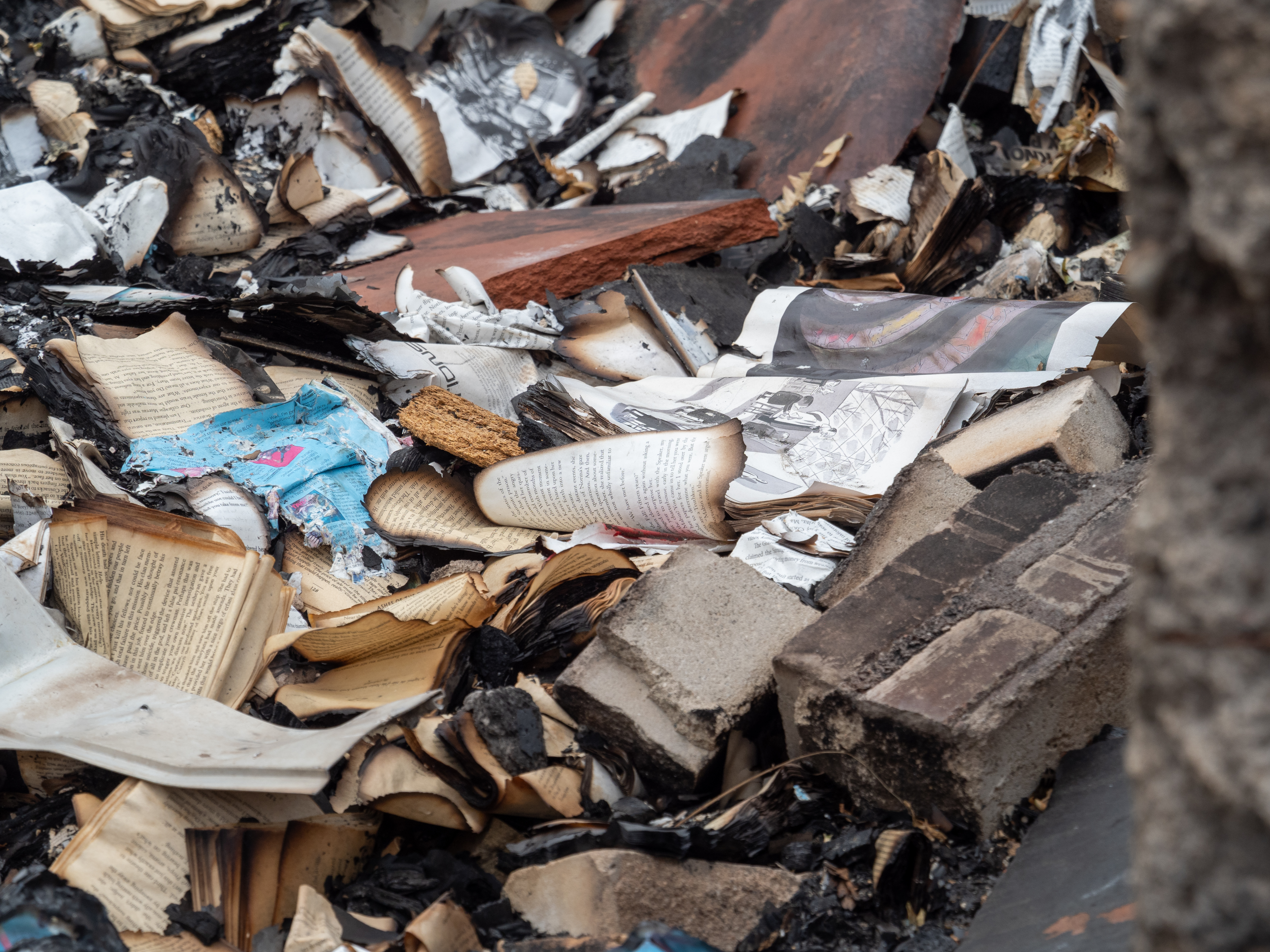 ddb  20200609 010-189-print