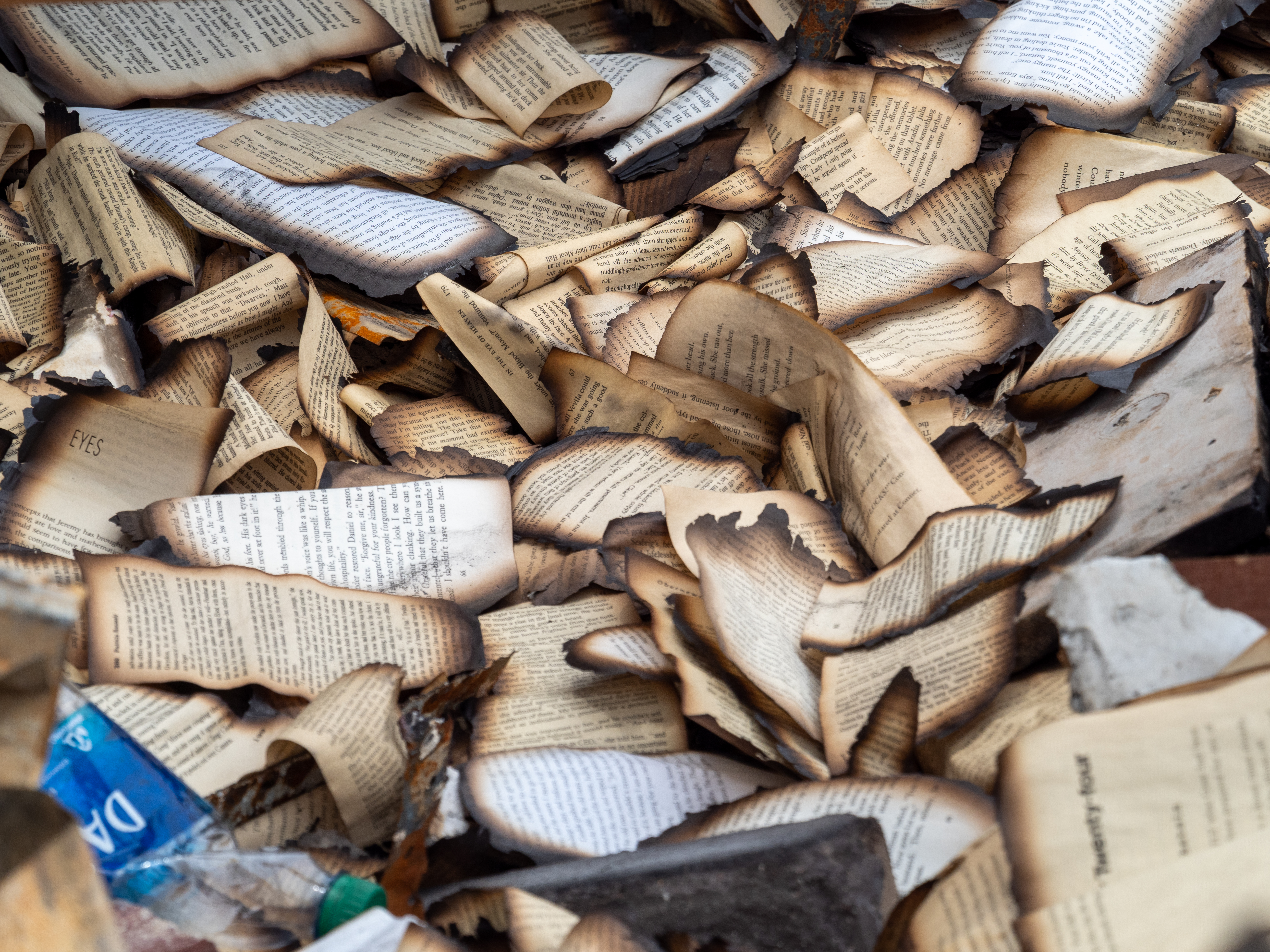 ddb  20200609 010-200-print