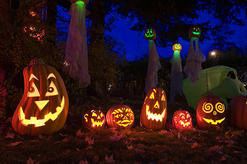 ddb 20081102 020-028