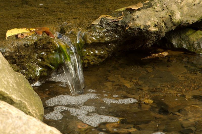 ddb 20081011 010-001