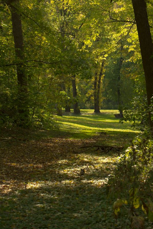 ddb 20081011 010-012