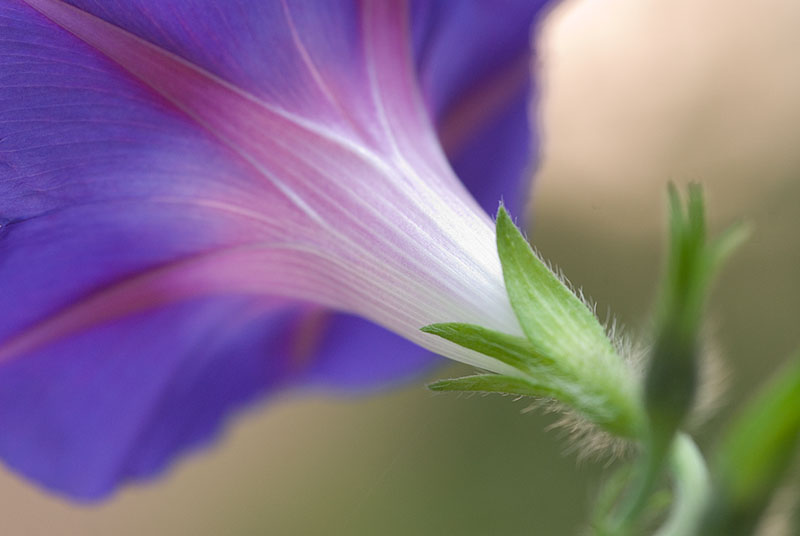 ddb 20070824 010-011