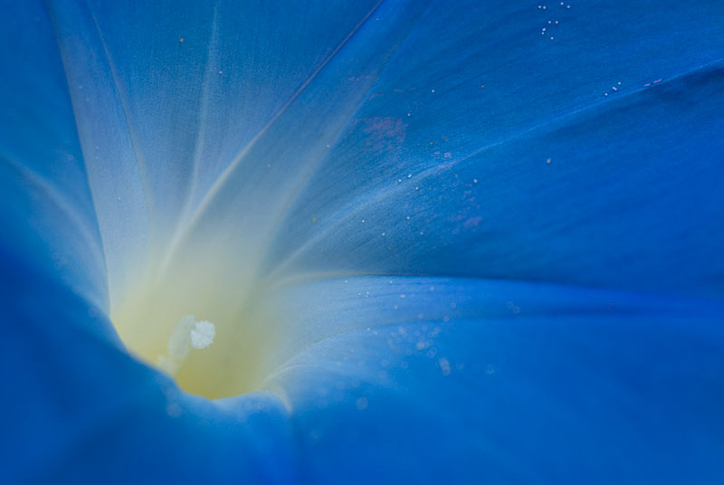 ddb 20070824 010-023