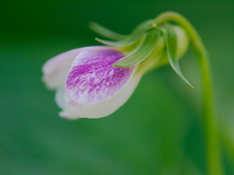 ddb 20130523 010-020