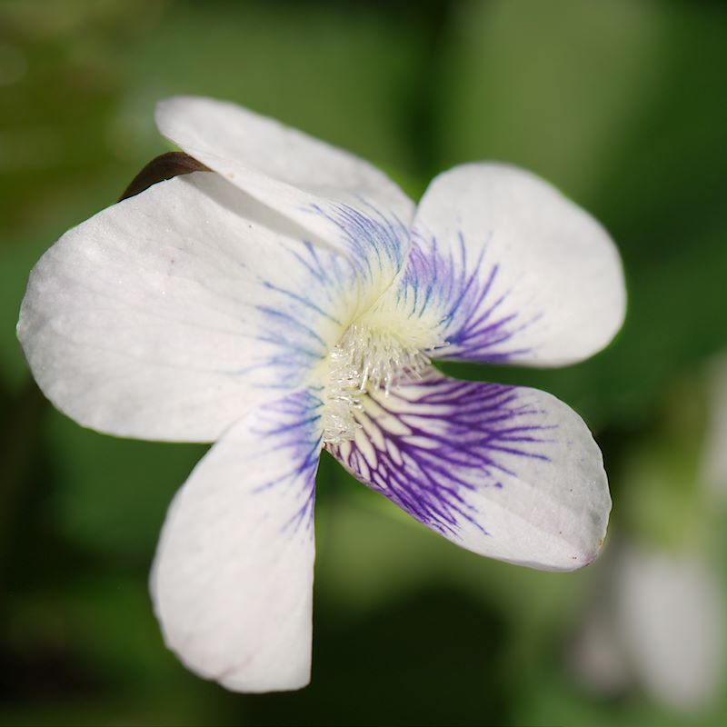 ddb 20130523 010-025