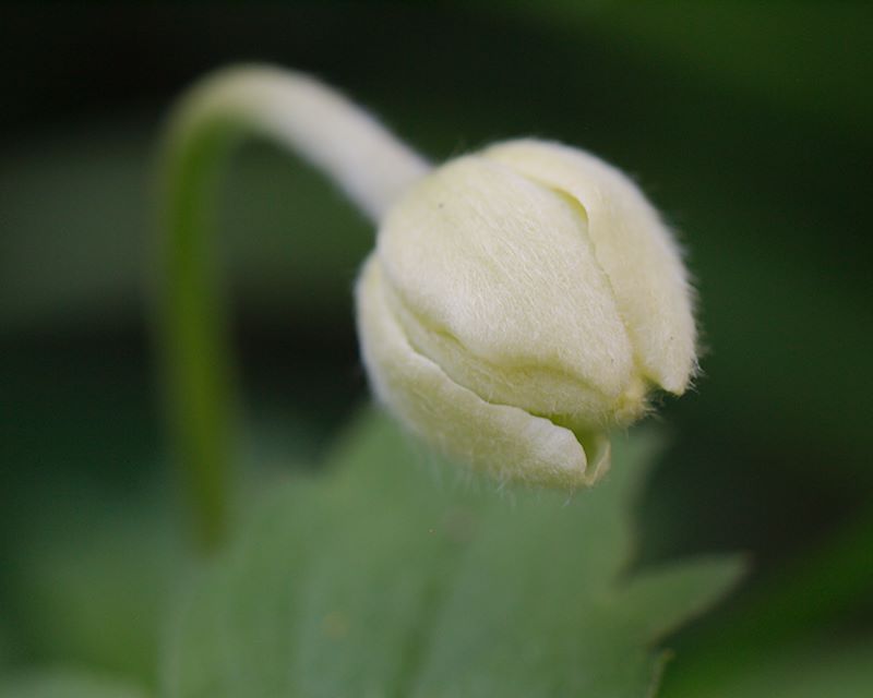 ddb 20130523 010-038