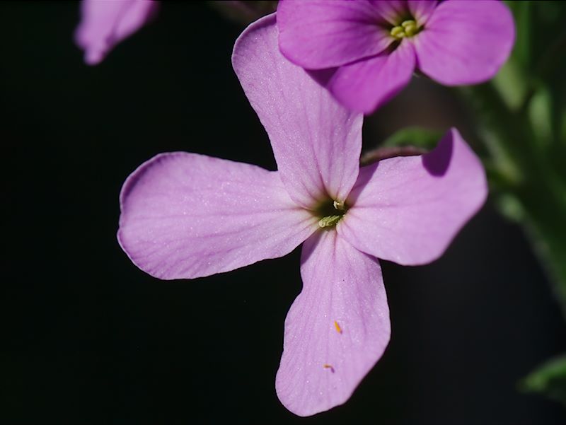 ddb 20130602 010-005