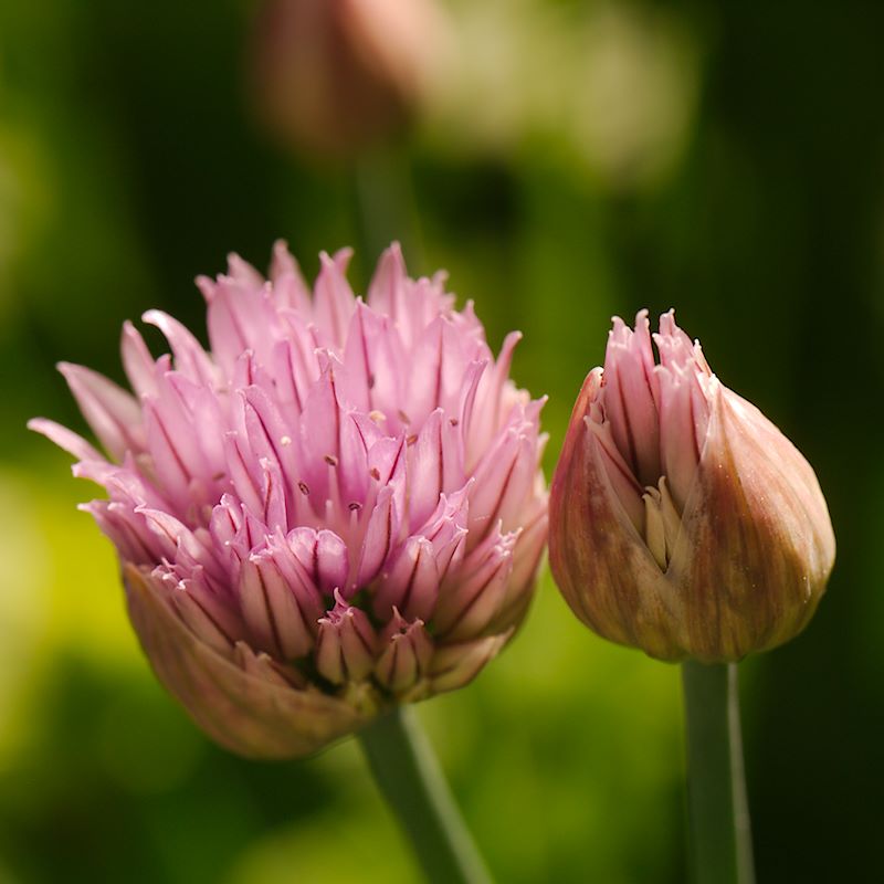 ddb 20130602 010-013