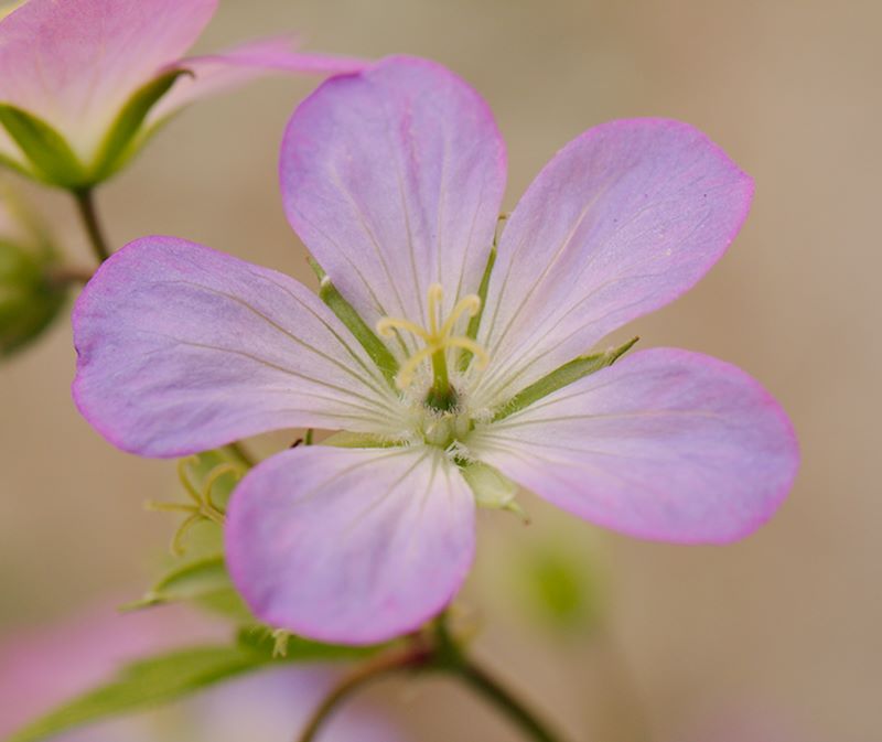 ddb 20130602 010-050