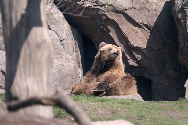 ddb 20120325 010-006